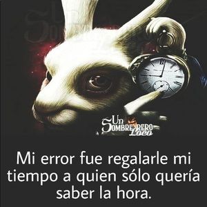 Meet your Posher, Liz